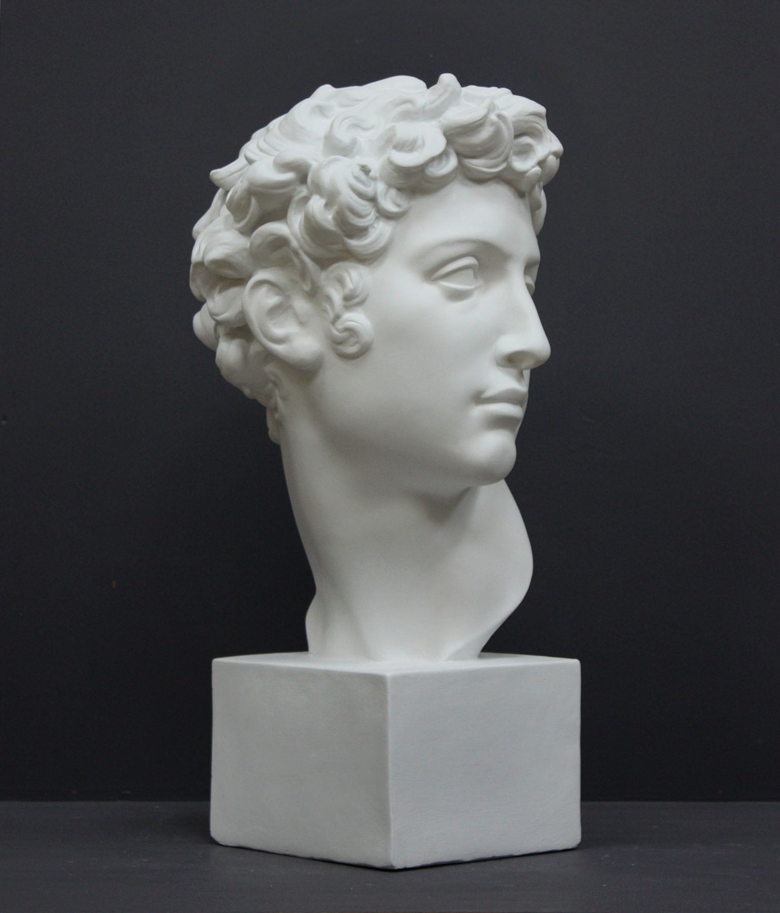 photo of white plaster cast bust sculpture of male with curly hair atop cube base against gray background