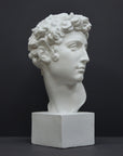 photo of white plaster cast bust sculpture of male with curly hair atop cube base against gray background