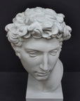 photo looking down at white plaster cast bust sculpture of male with curly hair atop cube base against gray background