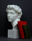 photo of white plaster cast bust sculpture of male with curly hair atop cube base with red and green books leaning against it against gray background