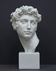 photo of white plaster cast bust sculpture of male with curly hair atop cube base against gray background