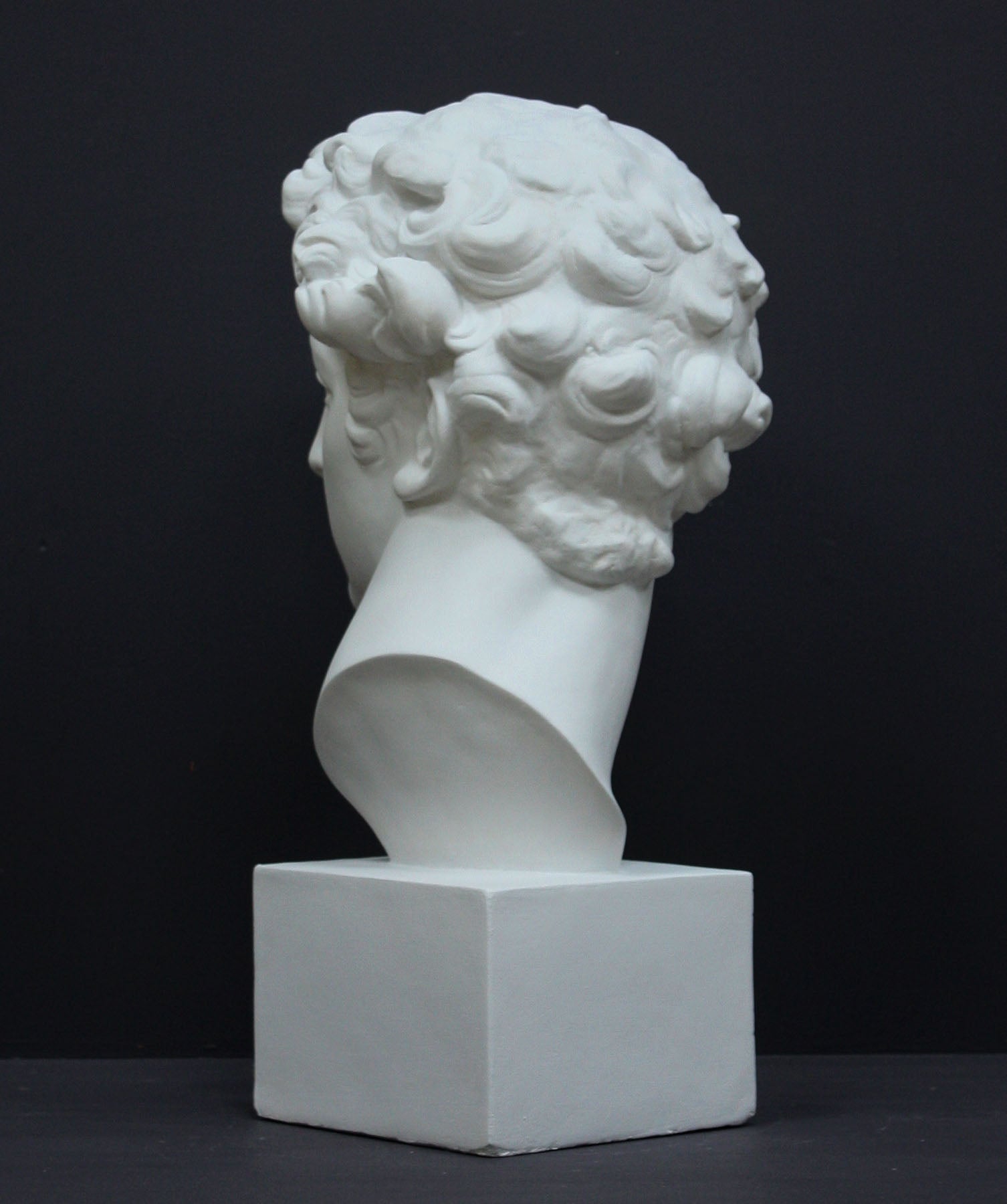 photo of back of white plaster cast bust sculpture of male with curly hair atop cube base against gray background