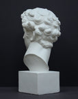 photo of back of white plaster cast bust sculpture of male with curly hair atop cube base against gray background