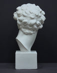 photo of back of white plaster cast bust sculpture of male with curly hair atop cube base against gray background