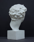 photo of back of white plaster cast bust sculpture of male with curly hair atop cube base against gray background