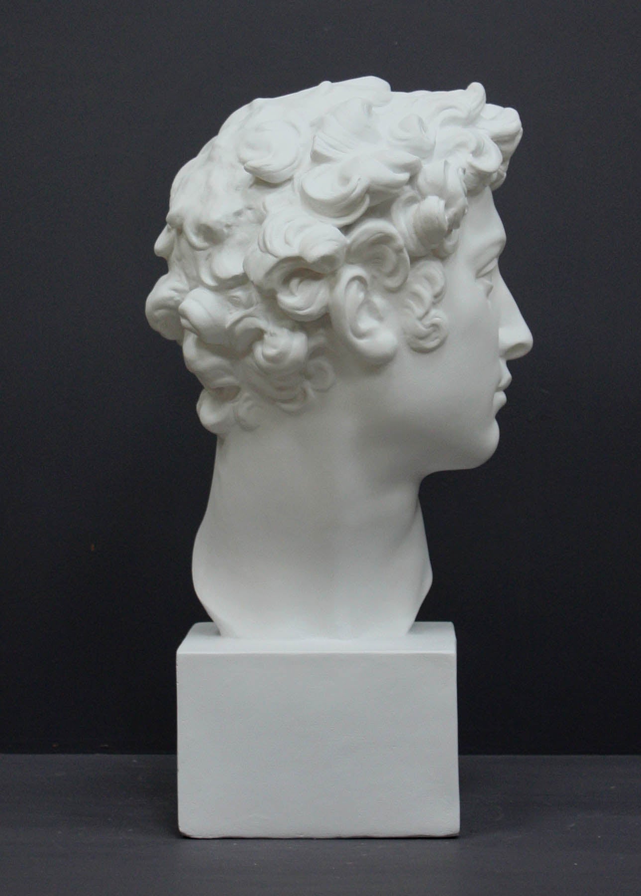 photo of white plaster cast bust sculpture of male with curly hair atop cube base against gray background