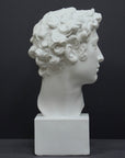 photo of white plaster cast bust sculpture of male with curly hair atop cube base against gray background