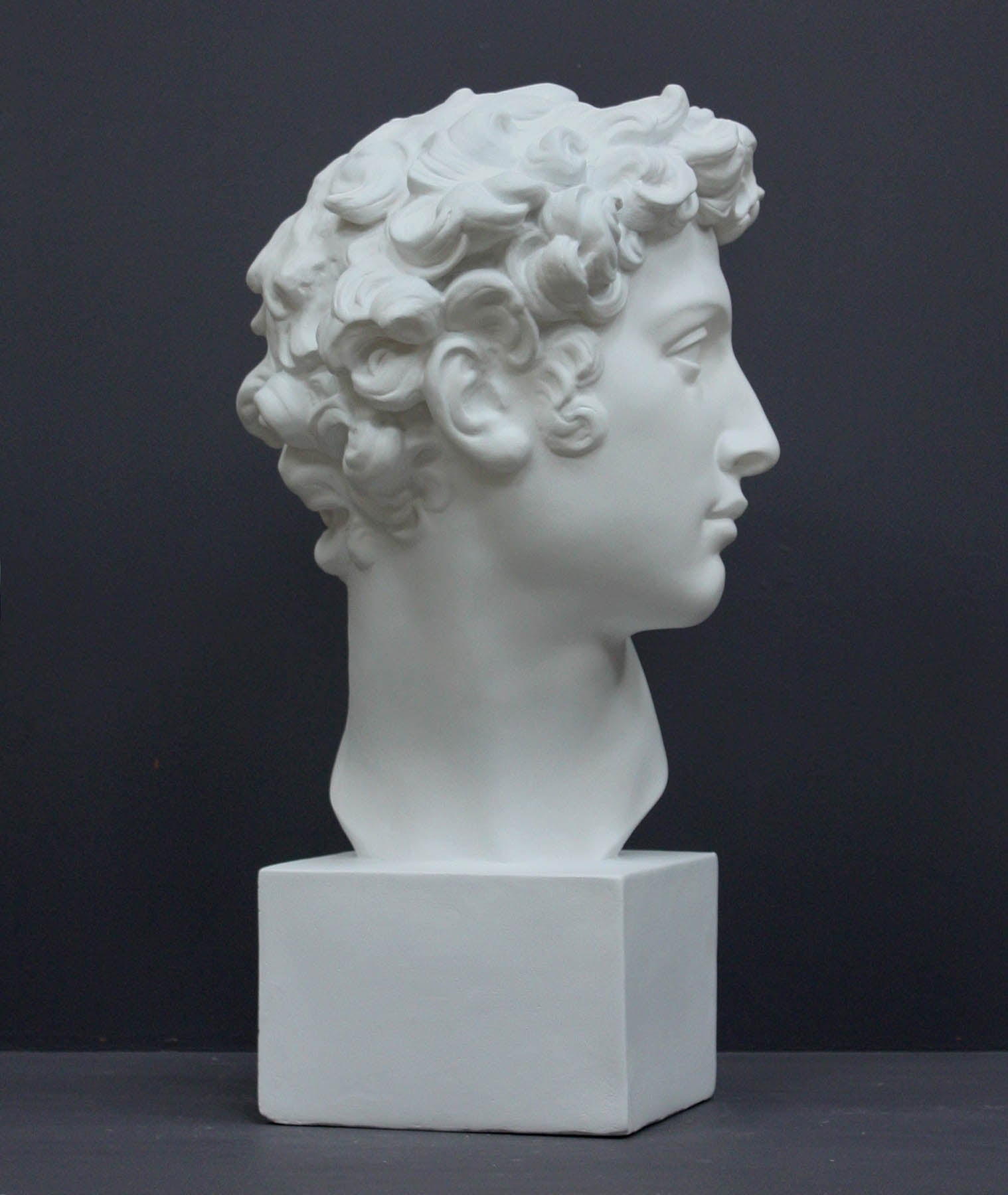 photo of white plaster cast bust sculpture of male with curly hair atop cube base against gray background