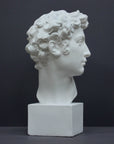 photo of white plaster cast bust sculpture of male with curly hair atop cube base against gray background