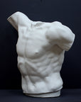 photo of white plaster cast sculpture of male torso, namely Laocoon, against gray background