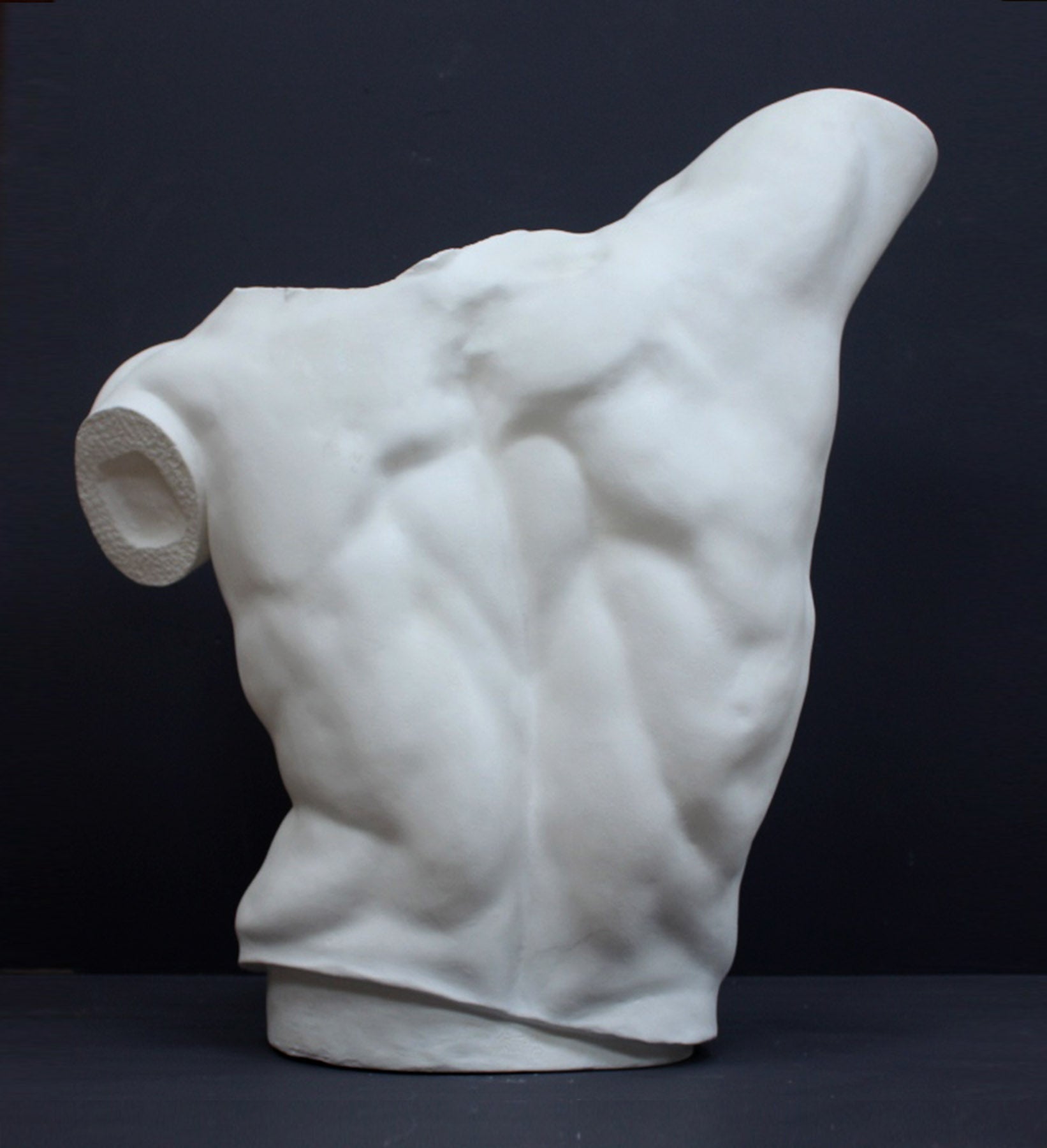 photo of back of white plaster cast sculpture of male torso, namely Laocoon, against gray background