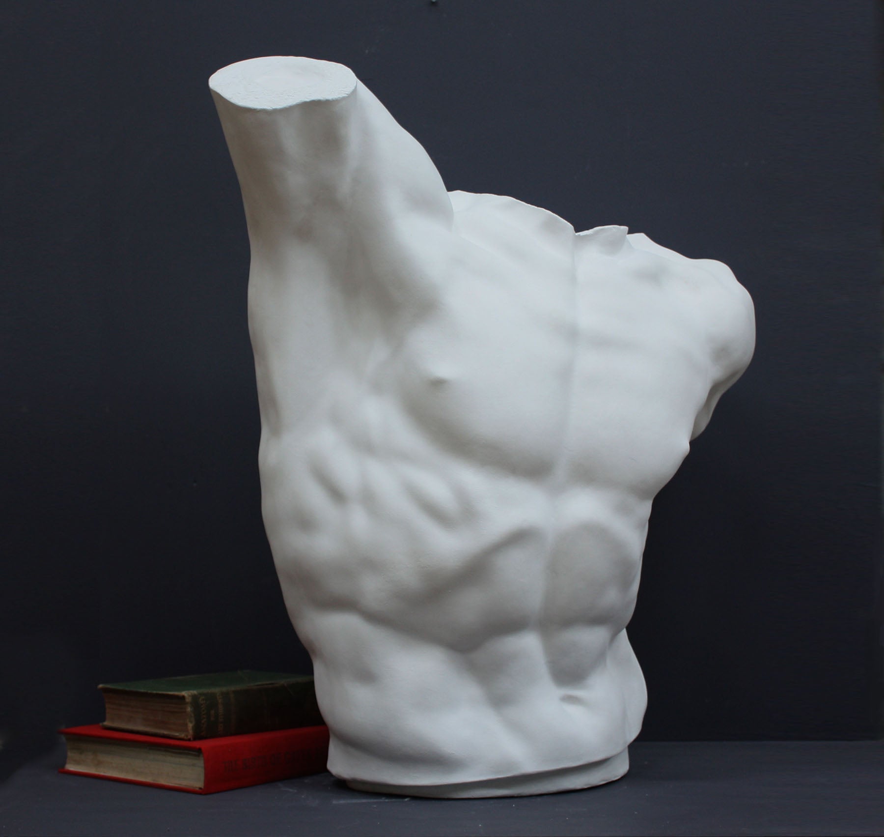 photo of white plaster cast sculpture of male torso, namely Laocoon, with a green and a red book stacked and placed behind it, against gray background