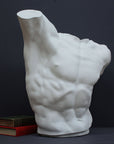 photo of white plaster cast sculpture of male torso, namely Laocoon, with a green and a red book stacked and placed behind it, against gray background