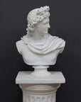 photo of white plaster cast bust sculpture of man, namely the god Apollo, with hair piled high in the front and a broach near his neck holding robes set atop a white pedestal against a gray background