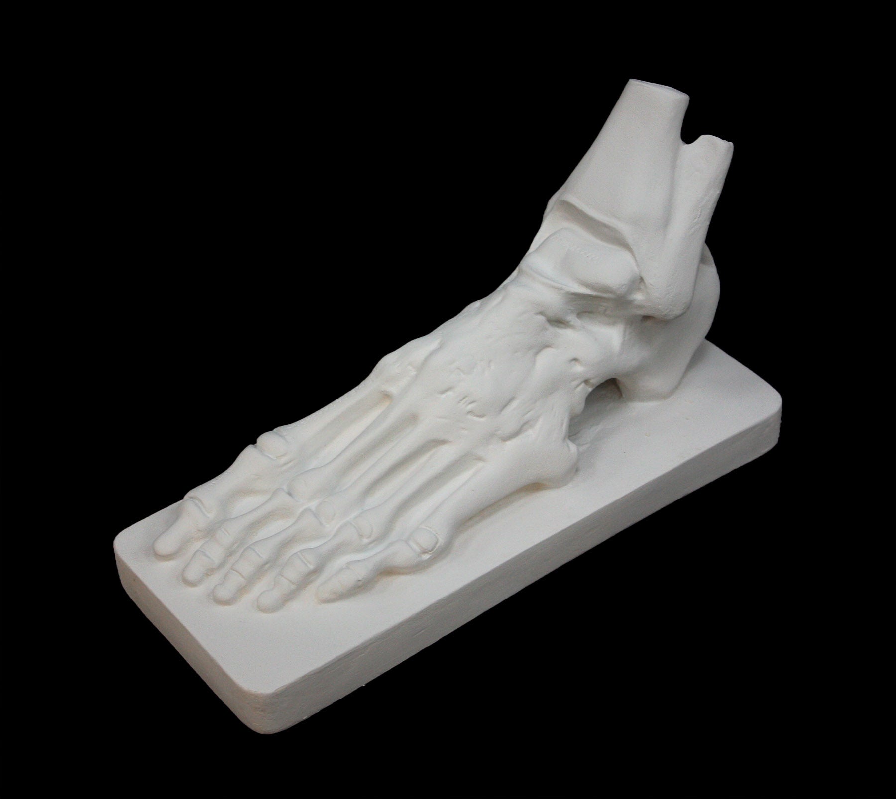 photo of white plaster cast sculpture of flayed left foot on a rectangular base against black background