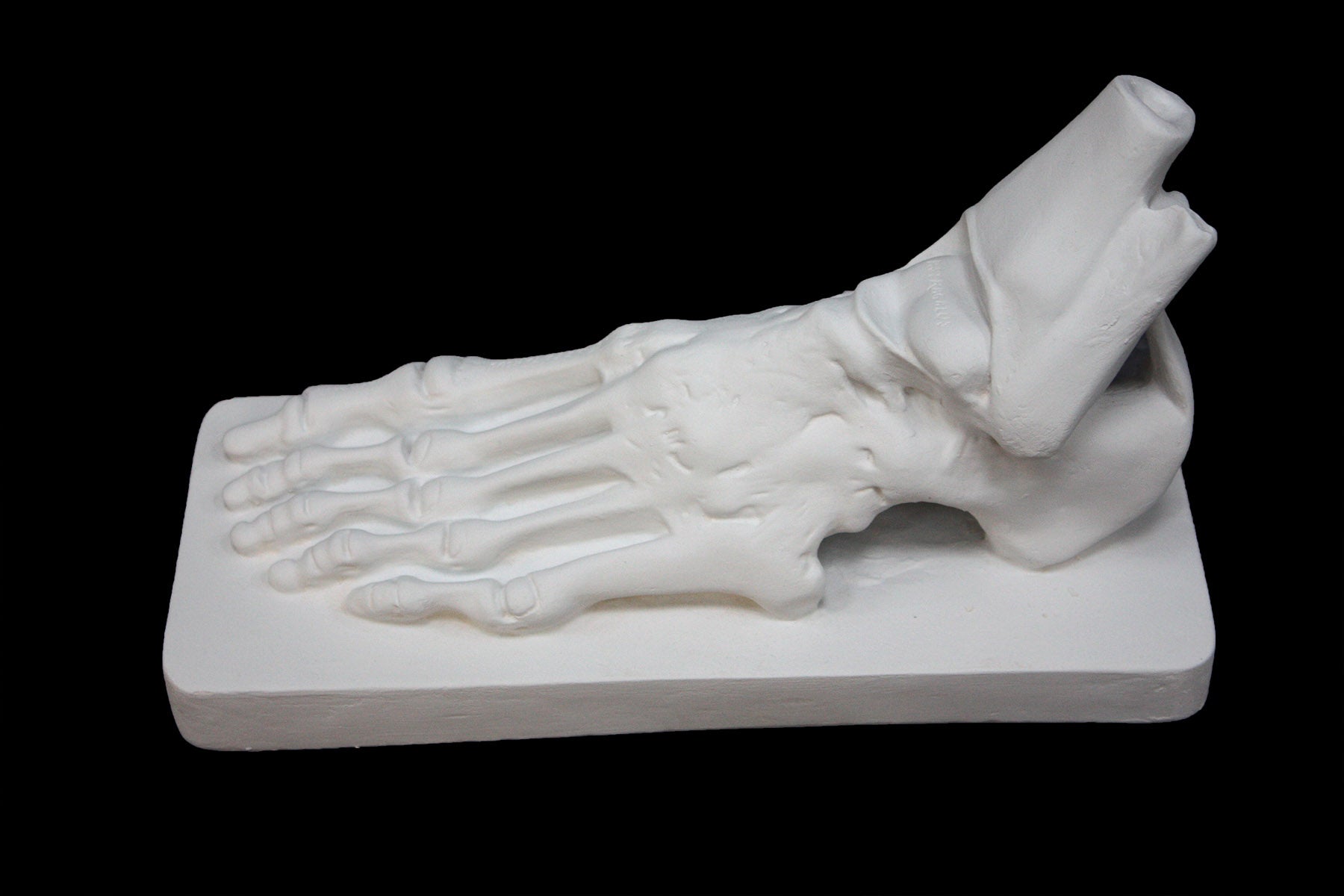 photo of white plaster cast sculpture of flayed left foot on a rectangular base against black background