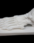 photo of white plaster cast sculpture of flayed left foot on a rectangular base against black background