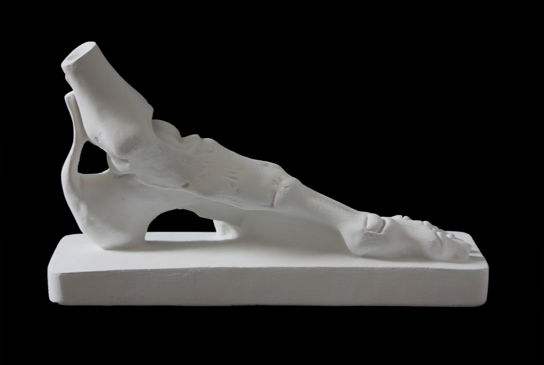 photo of white plaster cast sculpture of flayed left foot on a rectangular base against black background