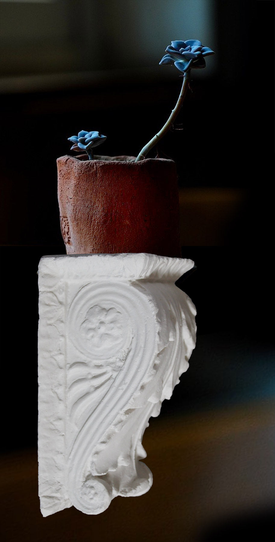 photo of white plaster cast sculpture of wall bracket with scrolls and acanthus leaves hung up with a red pot atop containing two blue flowers against a background of blacks, oranges, and dark blues