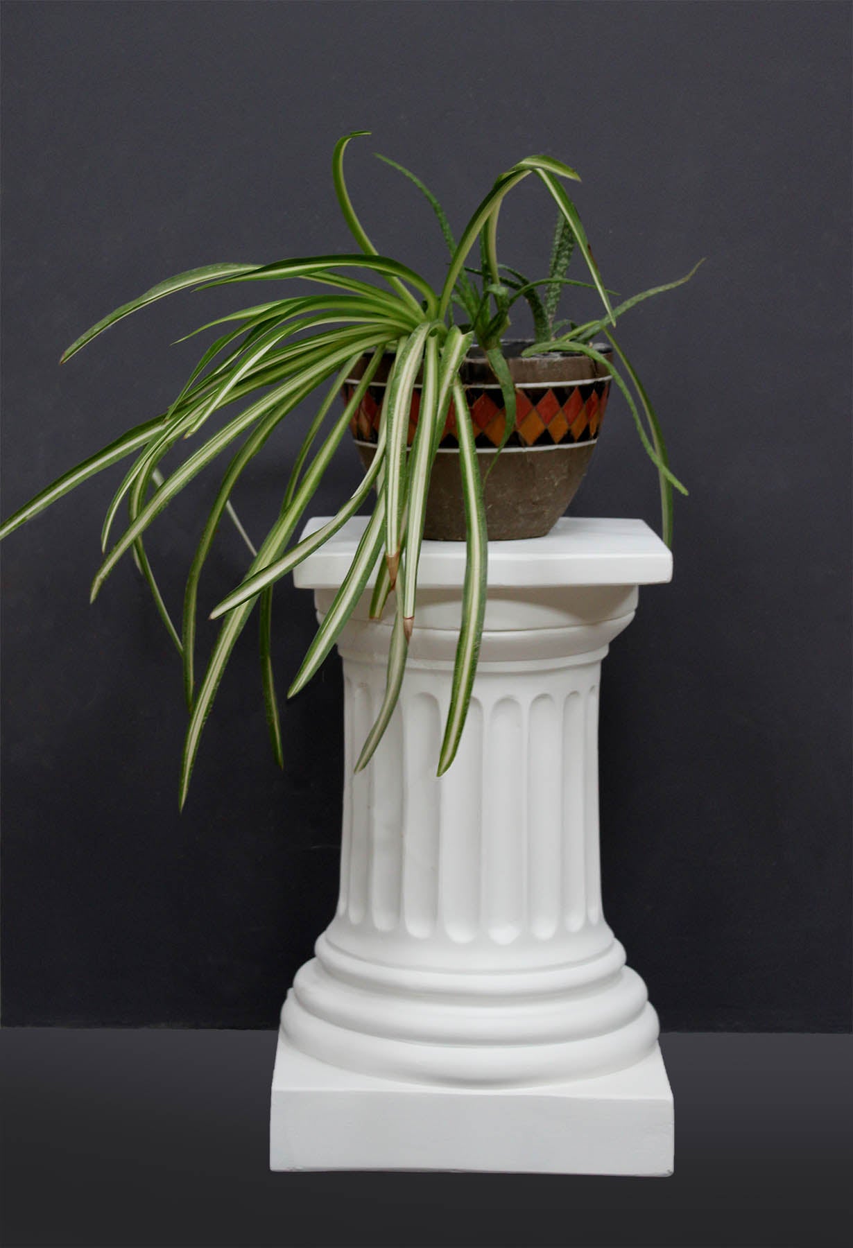 photo of short white plaster cast pedestal in the Doric style with a fluted column with a potted plant on top against a gray background