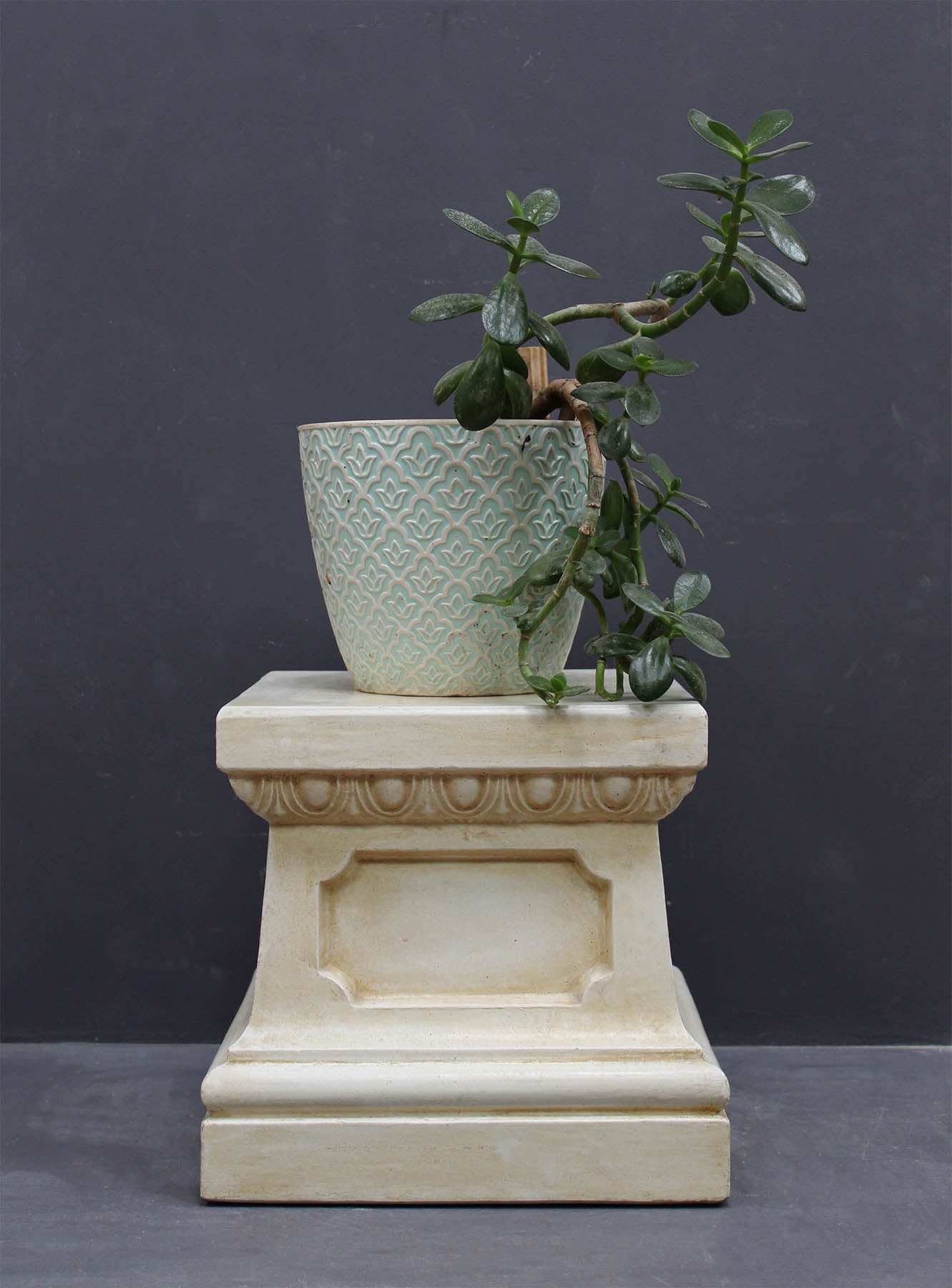 photo of off-white plaster cast reproduction of short, rectangular pedestal with a plant atop in a light green pot against a gray background