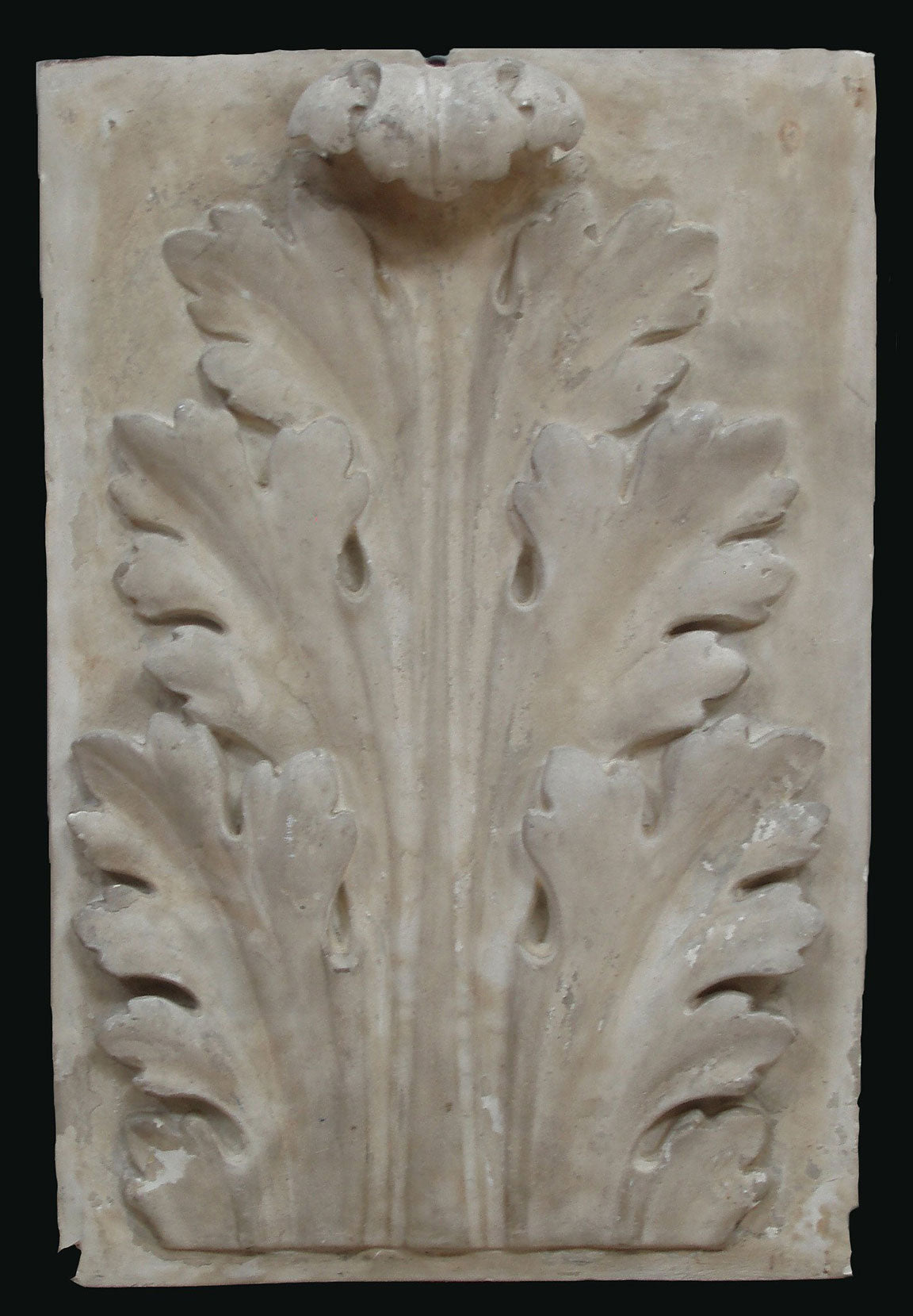 photo of plaster cast relief of upright, symmetrical acanthus leaf on a black background