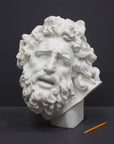 photo with gray background of plaster cast sculpture of male head with curly hair and beard, namely Laocoon, and yellow pencil