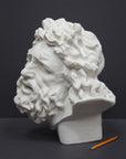 photo with gray background of plaster cast sculpture of male head with curly hair and beard, namely Laocoon, and yellow pencil