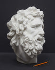 photo with gray background of plaster cast sculpture of male head with curly hair and beard, namely Laocoon, and yellow pencil