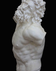 photo with black background of plaster cast of sculpted male torso and head with curly hair and beard, namely Laocoon