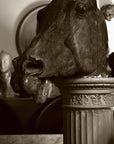 photo of plaster cast sculpture of horse's head with open mouth on a pedestal surrounded by other plaster casts