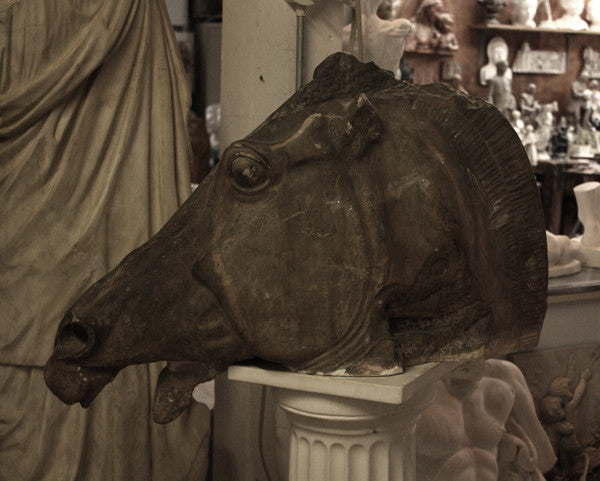 photo of plaster cast sculpture of horse's head with open mouth on a pedestal surrounded by other plaster casts