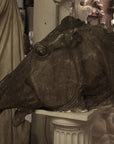 photo of plaster cast sculpture of horse's head with open mouth on a pedestal surrounded by other plaster casts