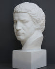 Photo of plaster cast sculpture of man's head on a grey background