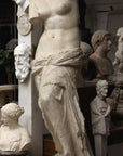 Photo of plaster cast sculpture of standing figure of Venus partially nude in gallery with more casts