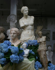 photo with two plaster cast busts and two plaster cast standing figures of Venus with yellow sheet and blue hydrangeas