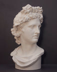 photo of white plaster cast sculpture bust of man, namely the god Apollo, with hair piled high in the front and a broach near his neck holding robes on a gray background