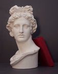 photo of white plaster cast sculpture bust of man, namely the god Apollo, with hair piled high in the front and a broach near his neck holding robes and a red book leaning against it on a gray background