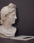 photo of white plaster cast sculpture bust of man, namely the god Apollo, with hair piled high in the front and a broach near his neck holding robes and a sketchbook and pencils beside it on a gray background