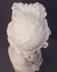 top view photo of white plaster cast sculpture bust of man, namely the god Apollo, with hair piled high in the front and a broach near his neck holding robes on a gray background