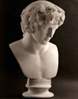 photo with black background of plaster cast of male bust of Antinous with crown of leaves