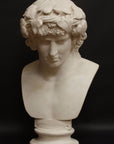 photo with black background of plaster cast of male bust of Antinous with crown of leaves