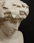 photo with black background of plaster cast of male bust of Antinous with crown of leaves