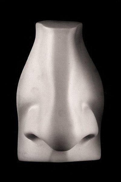 Photo of plaster cast sculpture of right nose from Michelangelo&#39;s David statue on a black background