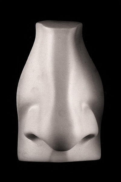 Photo of plaster cast sculpture of nose from Michelangelo&#39;s David statue on a black background