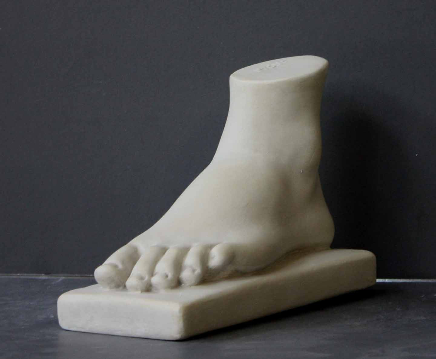 Photo of plaster cast of female left foot with a grey background