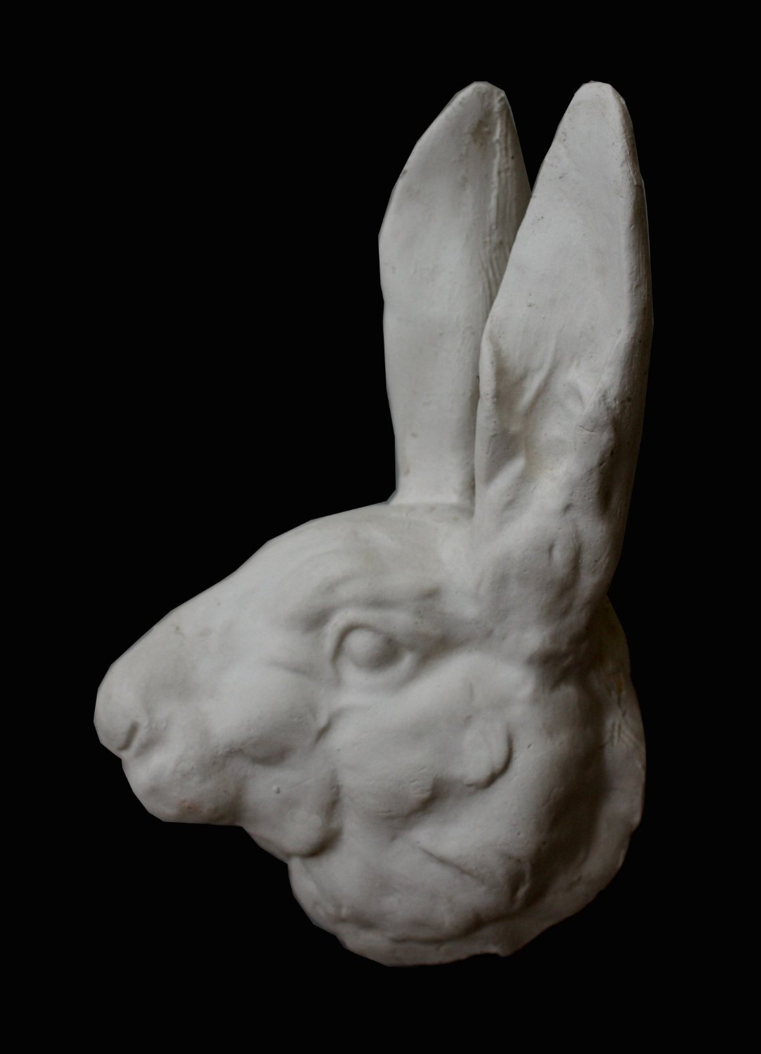 Rabbit Head - Item 