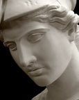 photo of plaster cast sculpture bust of female head, namely the goddess Minerva, with a helmet and looking down with black background