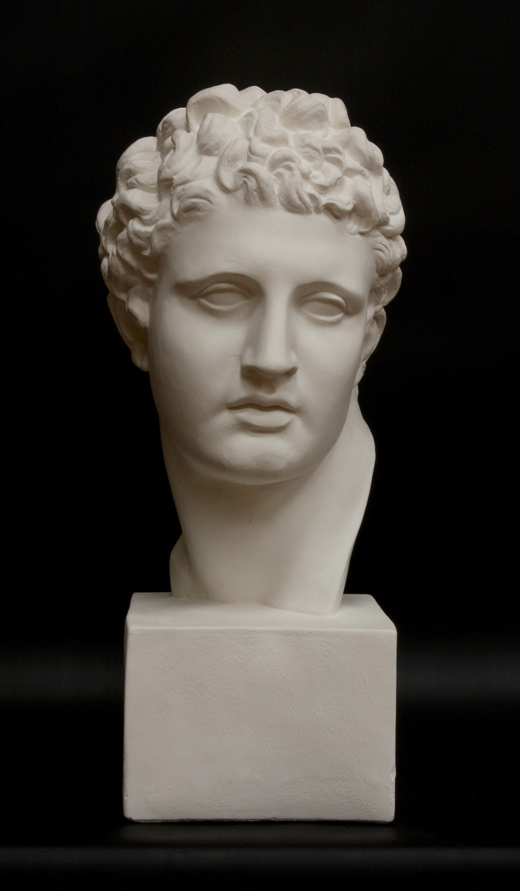 photo of white plaster cast of ancient sculpture of male head with curls, namely Meleager, on square base on black background