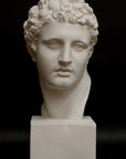 photo of white plaster cast of ancient sculpture of male head with curls, namely Meleager, on square base on black background